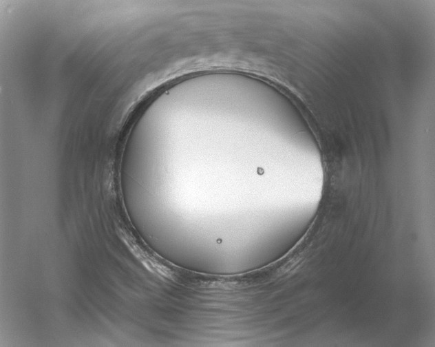 X0000060561499200511171551