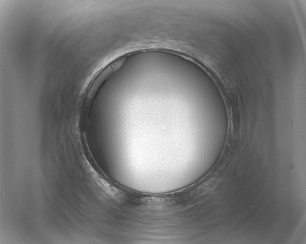 X0000060561500200511171551