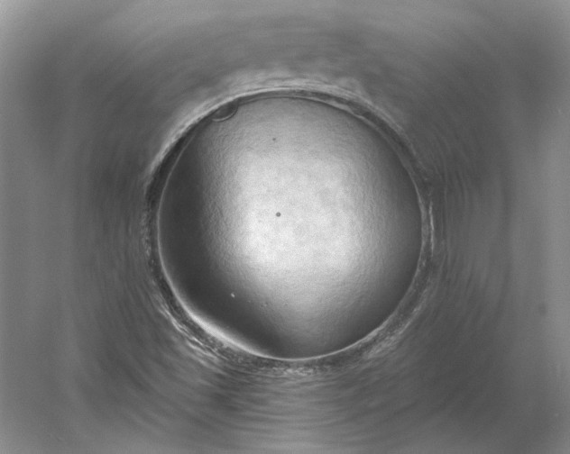 X0000060561501200511171551