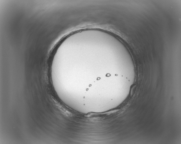 X0000060561502200511171551