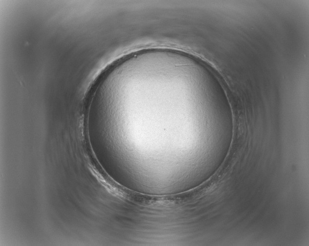 X0000060561503200511171551