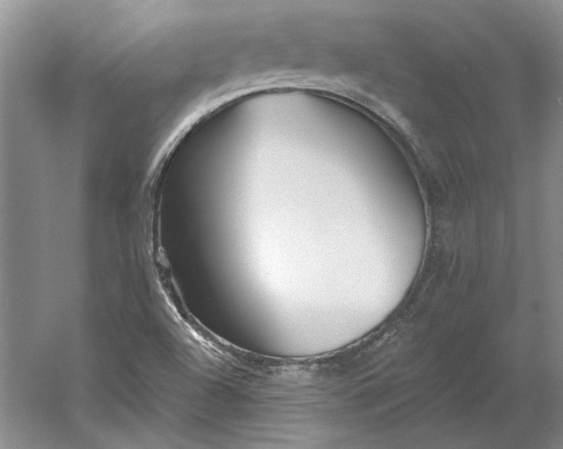 X0000060561504200511171551