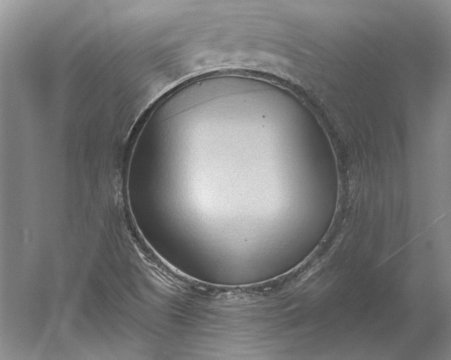 X0000060561505200511171551