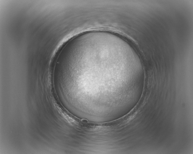 X0000060561506200511171551