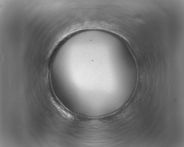 X0000060561507200511171551