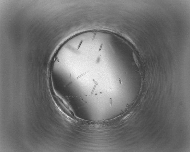 X0000060561508200511171551