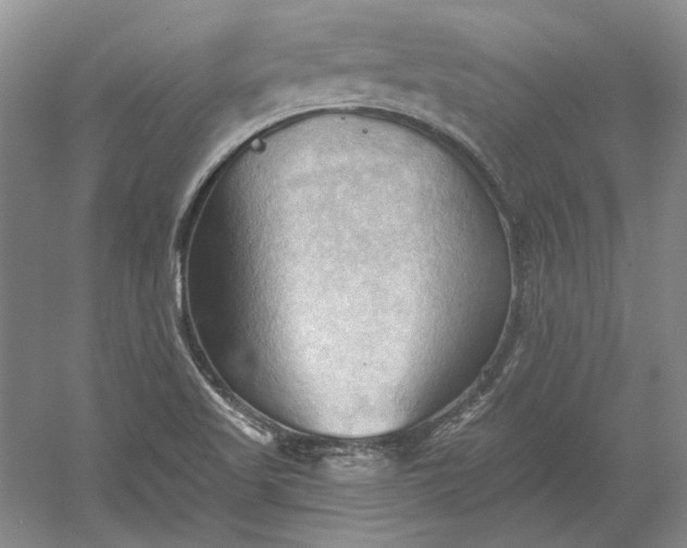 X0000060561509200511171551