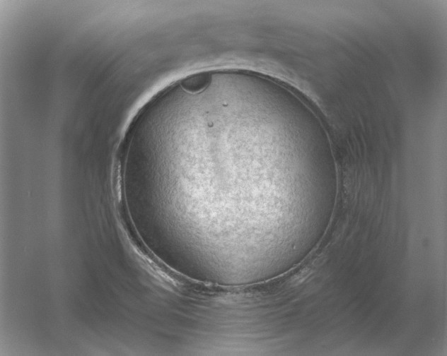 X0000060561510200511171551