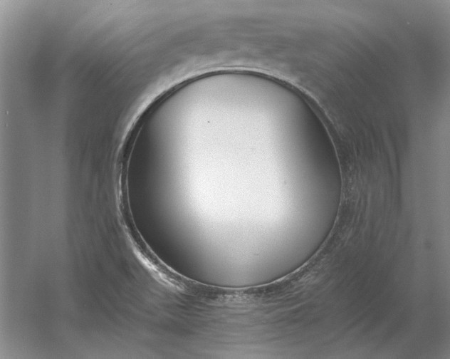 X0000060561511200511171551