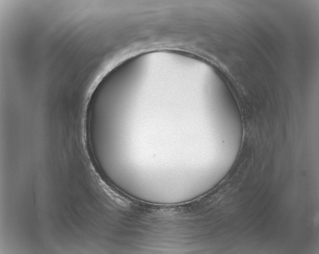 X0000060561512200511171551