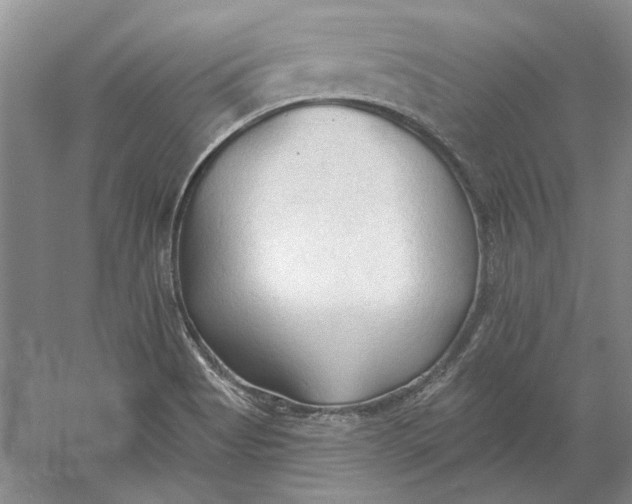 X0000060561513200511171551