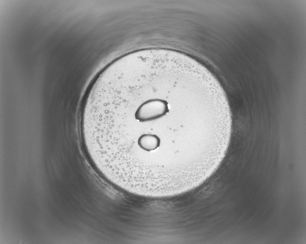 X0000060561514200511171551