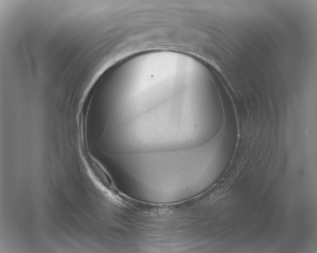 X0000060561515200511171551