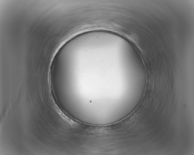 X0000060561516200511171551