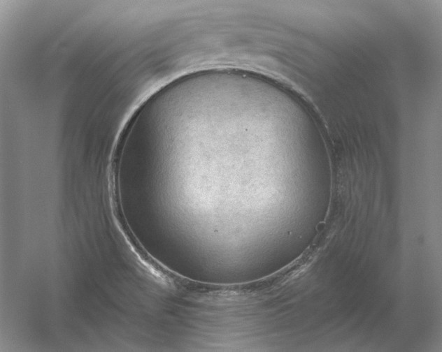 X0000060561517200511171552