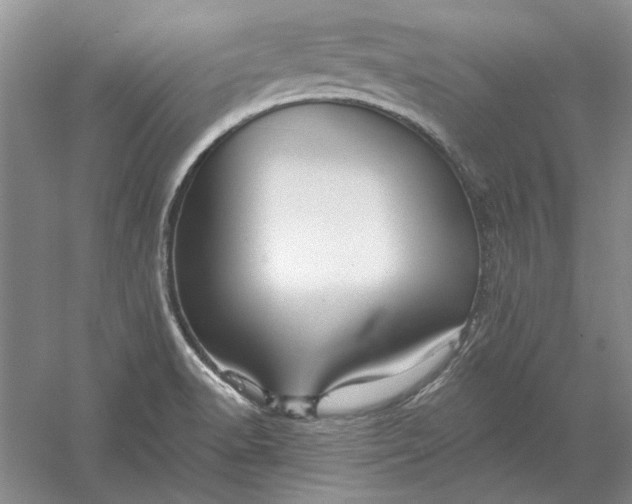 X0000060561518200511171552