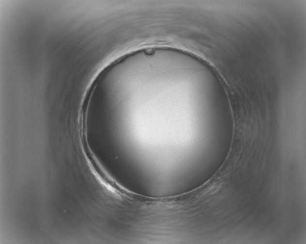 X0000060561519200511171552