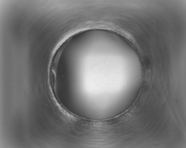 X0000060561520200511171552