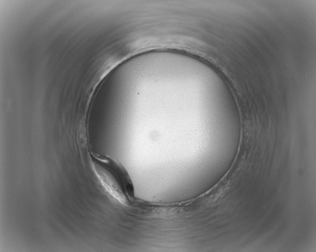 X0000060561521200511171552