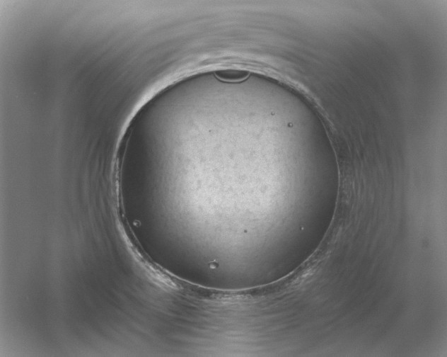 X0000060561522200511171552