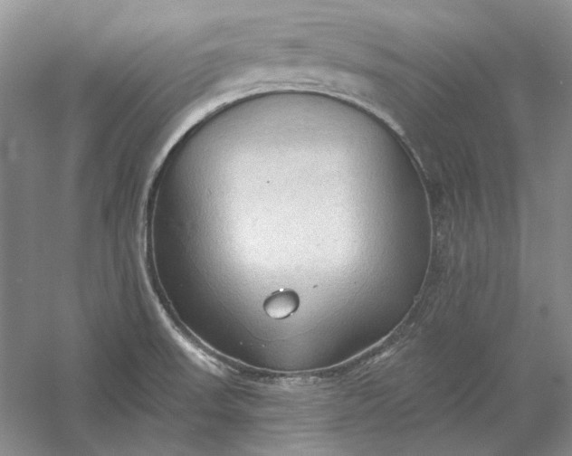 X0000060561523200511171552