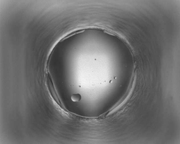 X0000060561524200511171552