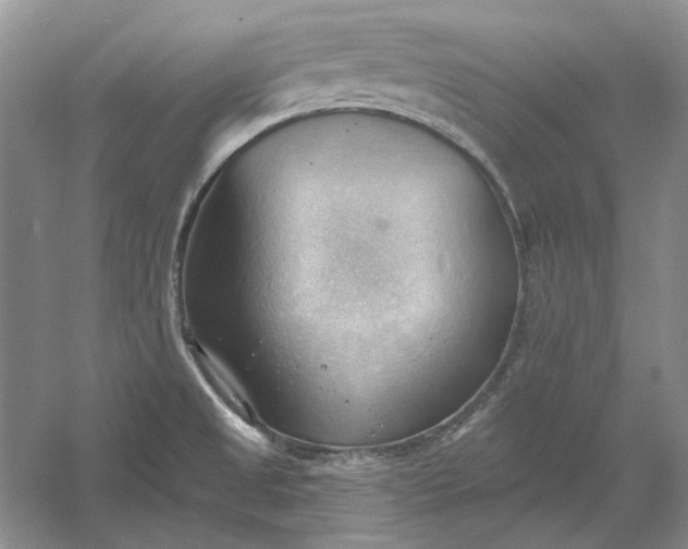 X0000060561525200511171552