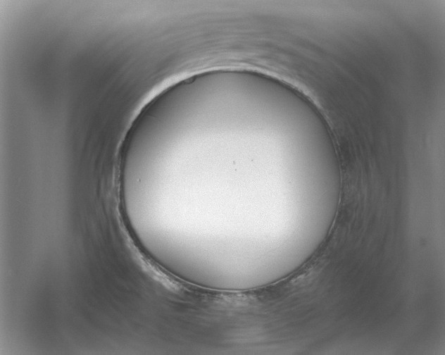 X0000060561526200511171552