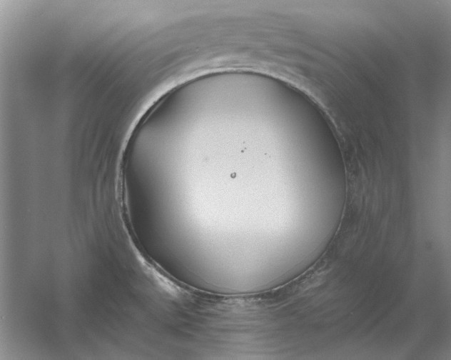 X0000060561527200511171552