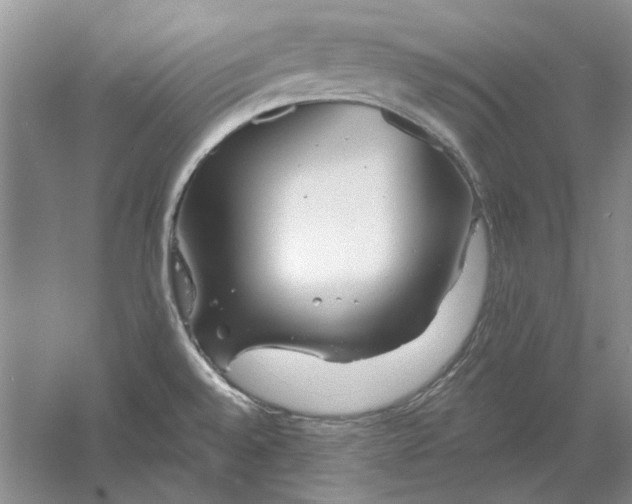 X0000060561528200511171552