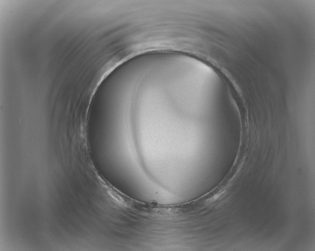 X0000060561529200511171552