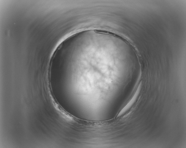 X0000060561530200511171552