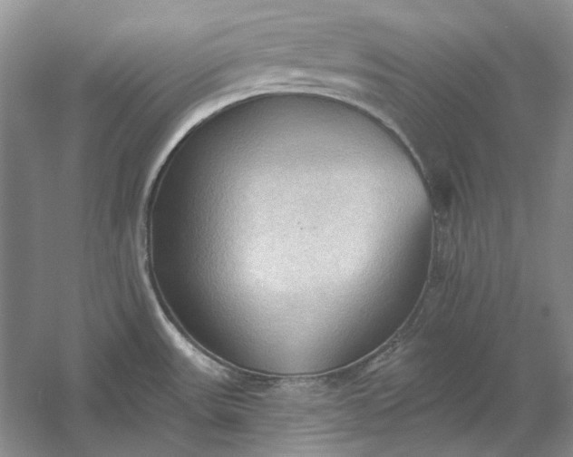 X0000060561531200511171552