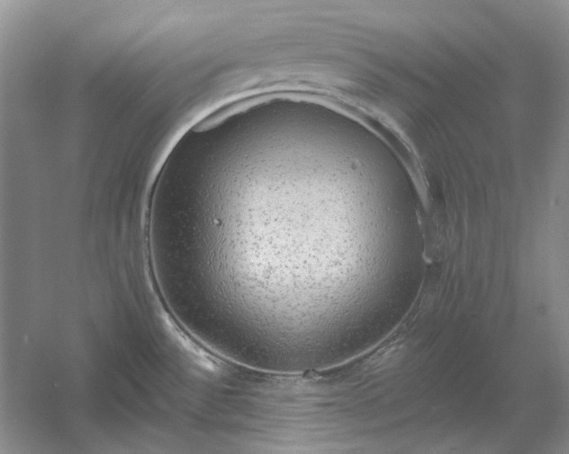 X0000060561532200511171552