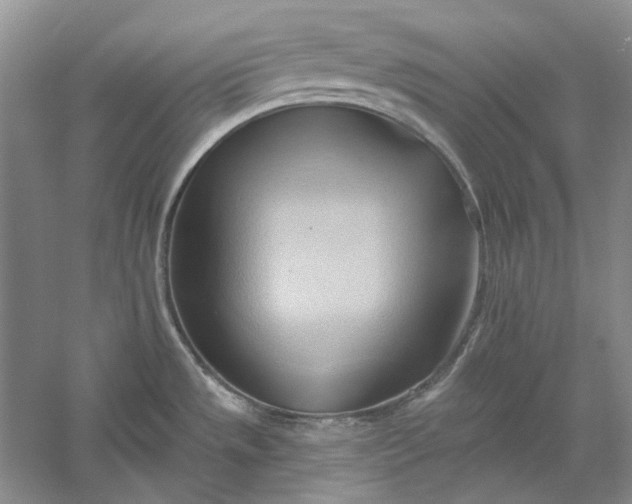 X0000060561533200511171552