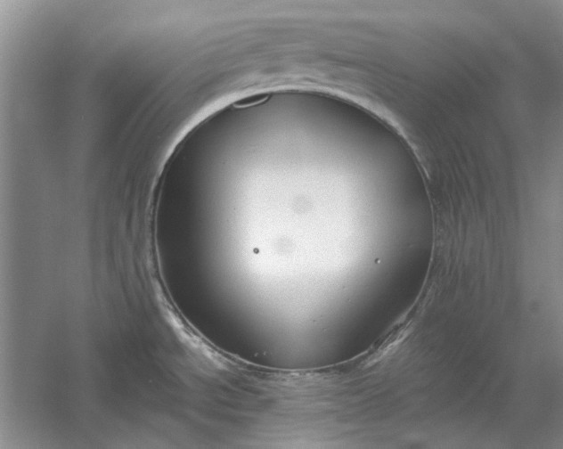 X0000060561534200511171552