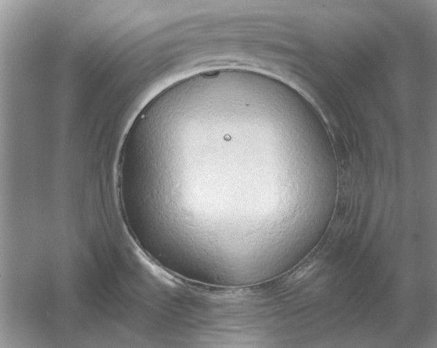 X0000060561535200511171552