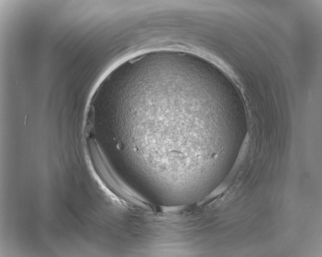 X0000060561536200511171552