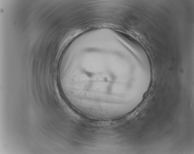 X0000060560049200511241301