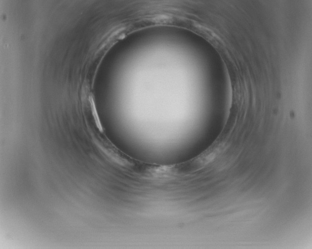 X0000060560092200511241302