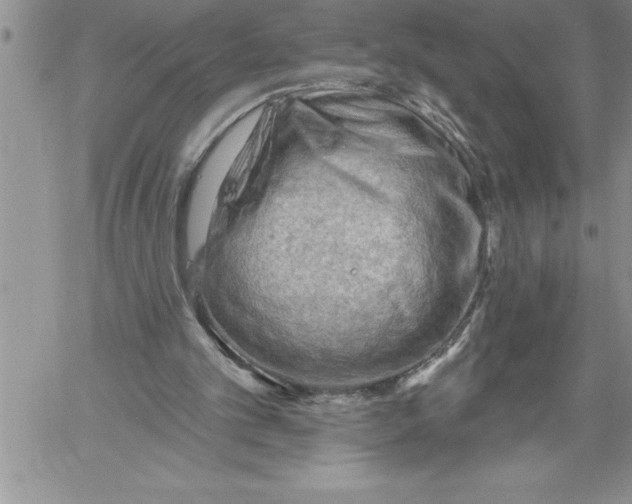 X0000060560101200511241301