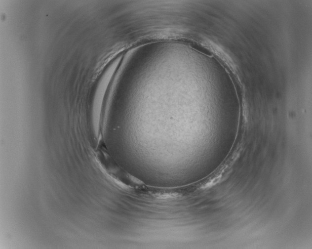 X0000060560105200511241301
