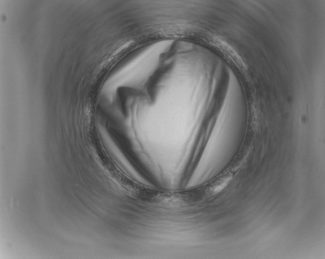 X0000060560113200511241301