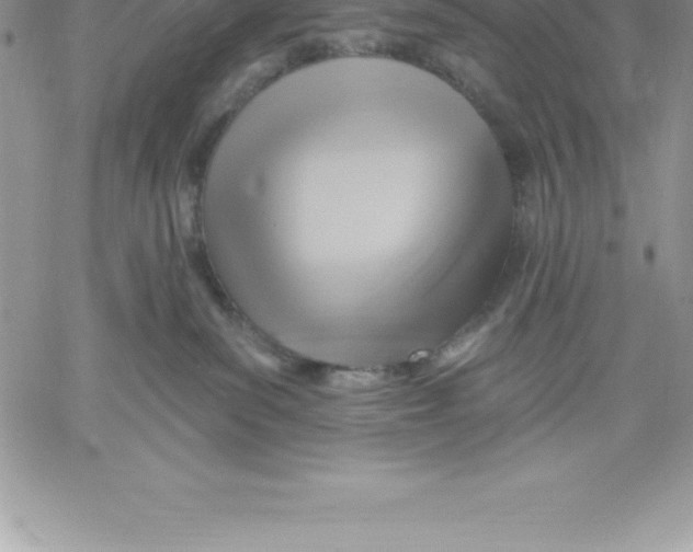 X0000060560139200511241300