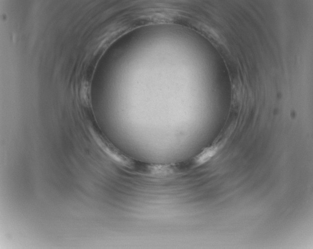 X0000060560141200511241300