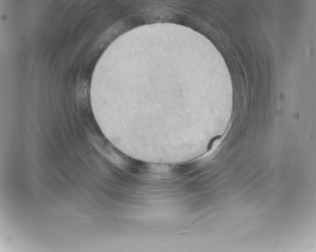 X0000060560144200511241300