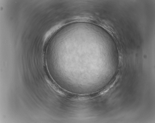 X0000060560149200511241259