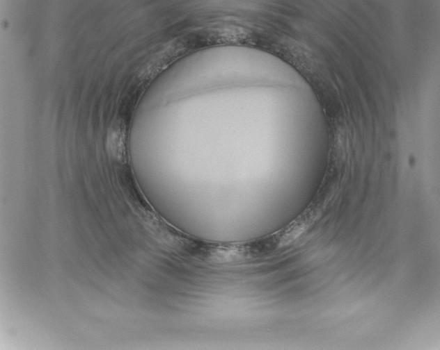 X0000060560177200511241300