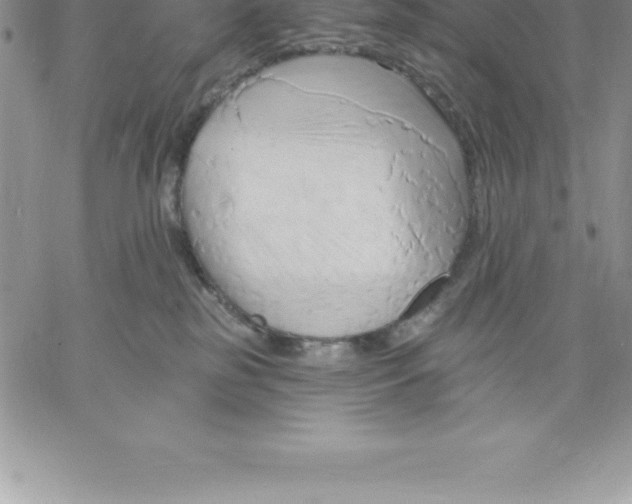 X0000060560185200511241300