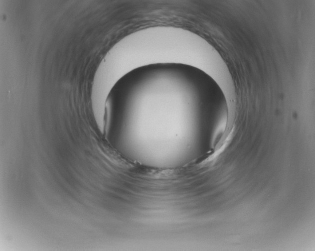 X0000060560186200511241300